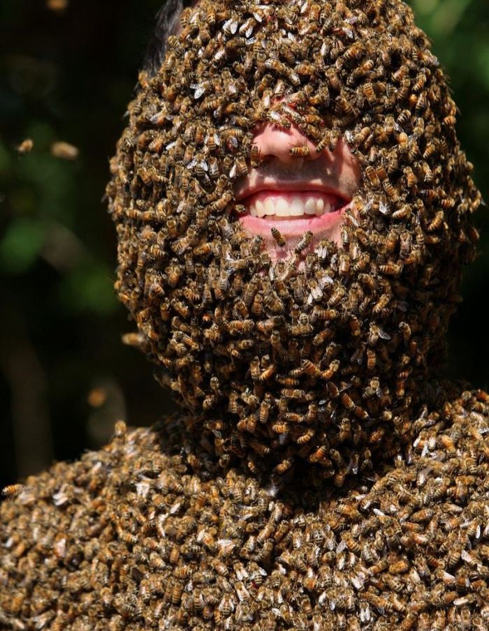 Борода из пчёл