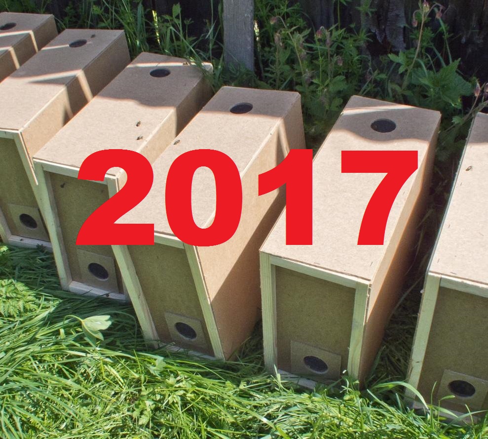 Пчелопакеты 2017